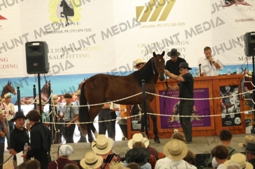 JHM_3173