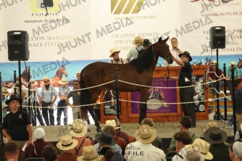 JHM_3176