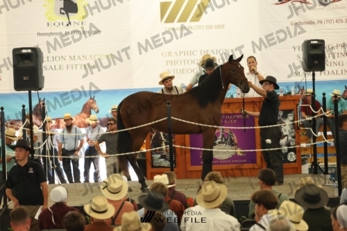 JHM_3177