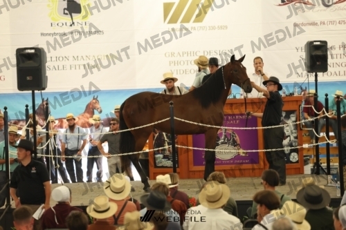 JHM_3178