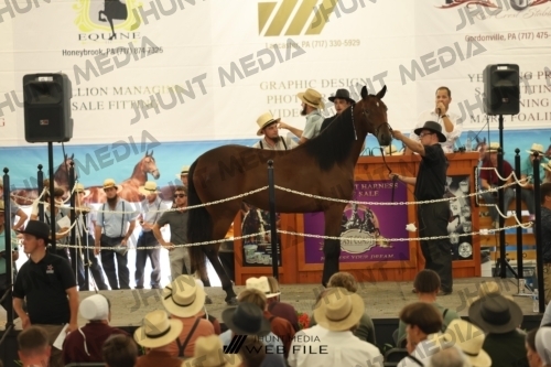 JHM_3179
