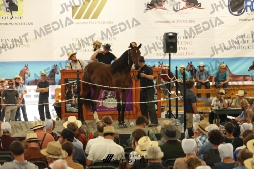JHM_3182