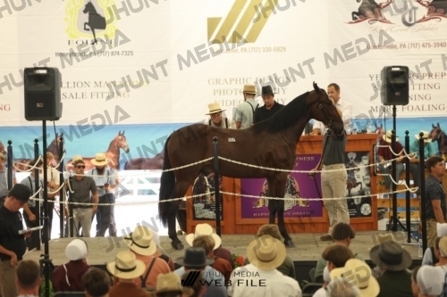 JHM_3183