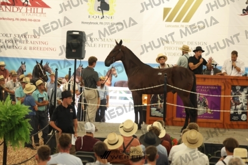 JHM_3187