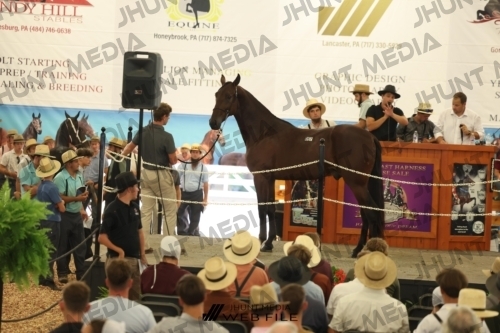JHM_3188