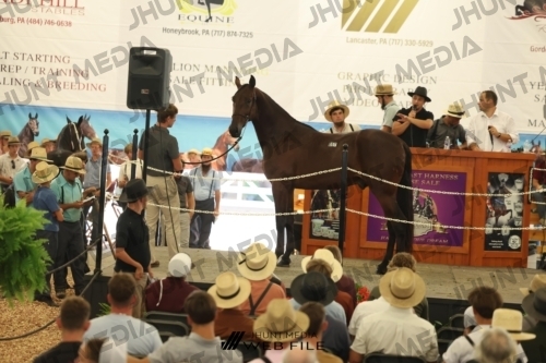 JHM_3189