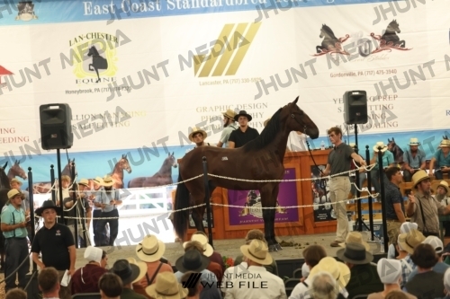 JHM_3192