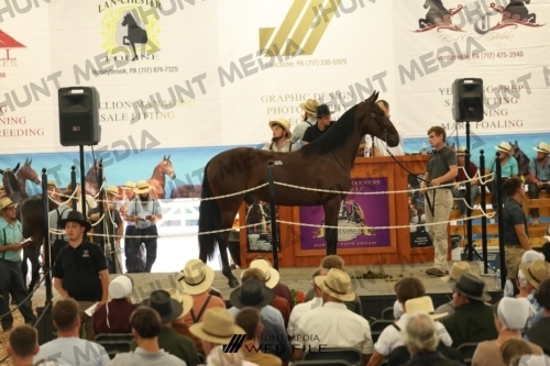 JHM_3193
