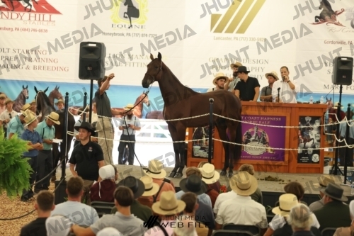 JHM_3198