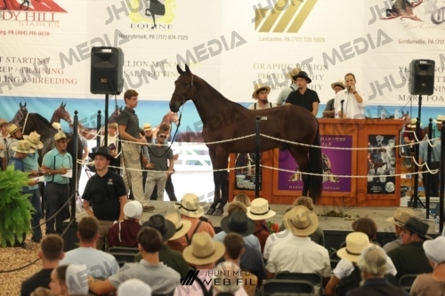JHM_3200