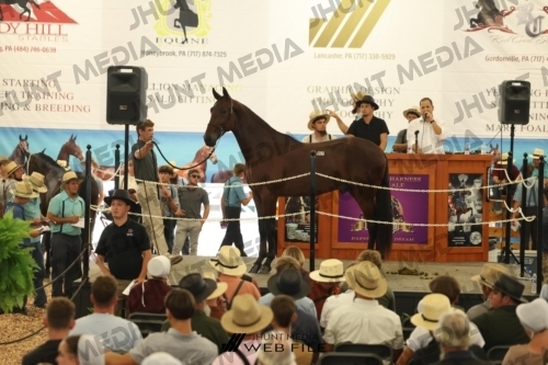 JHM_3201