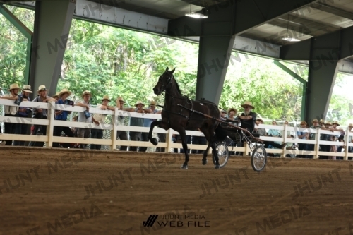 JHM_0455