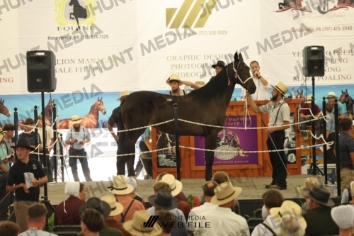 JHM_3203