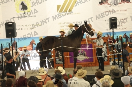 JHM_3204