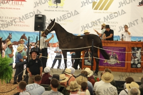 JHM_3205