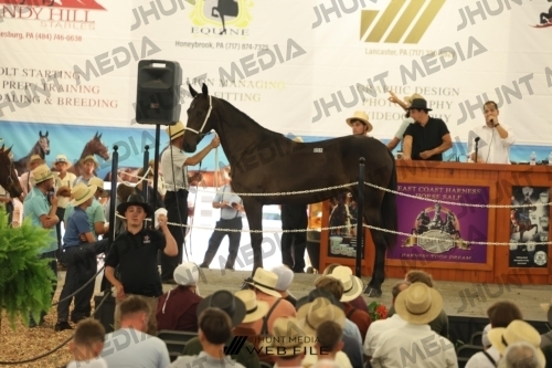 JHM_3207