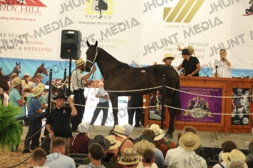 JHM_3208
