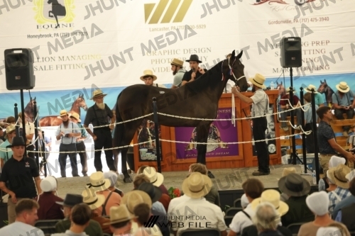 JHM_3210