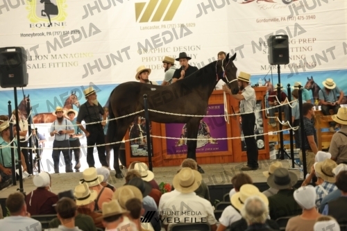 JHM_3211