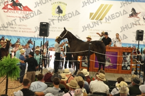 JHM_3213