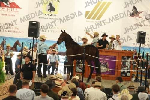 JHM_3222