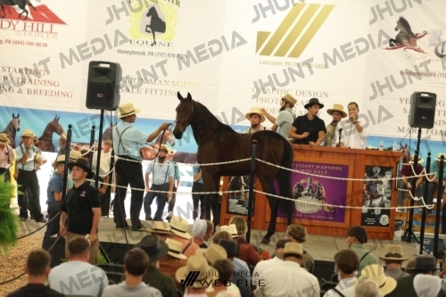 JHM_3223