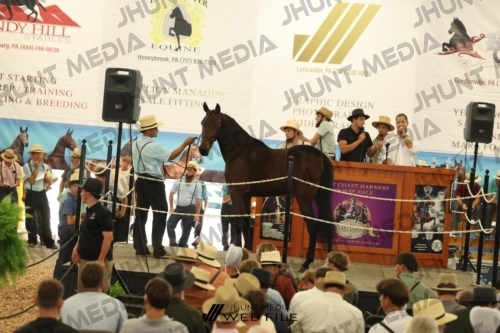 JHM_3224