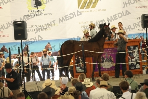 JHM_3231