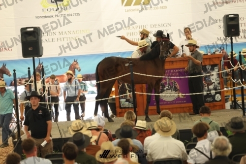 JHM_3237