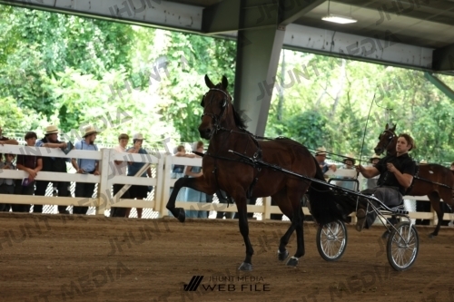 JHM_1069
