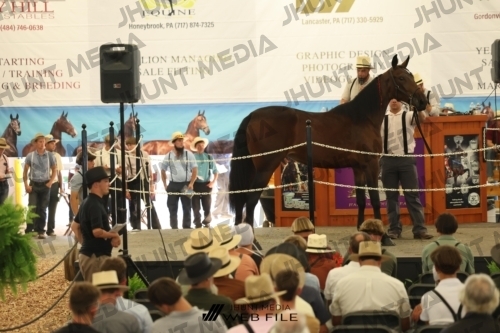 JHM_3242