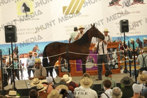 JHM_3248