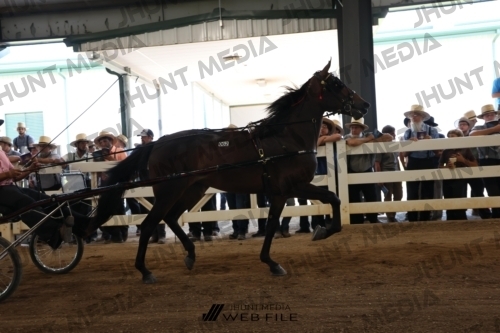 JHM_1748