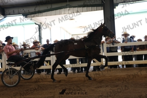 JHM_2246