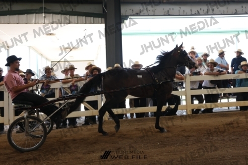 JHM_2254