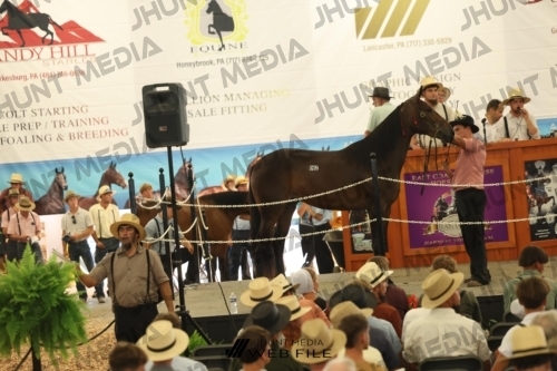 JHM_3271