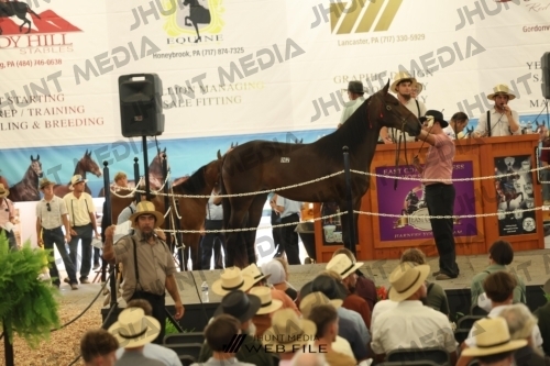 JHM_3272