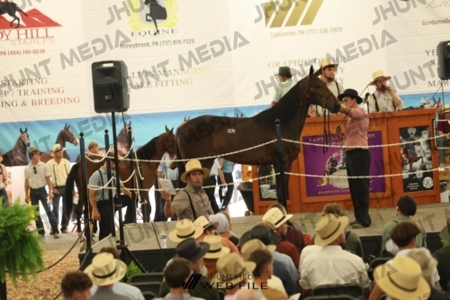 JHM_3273