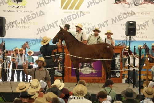 JHM_3274