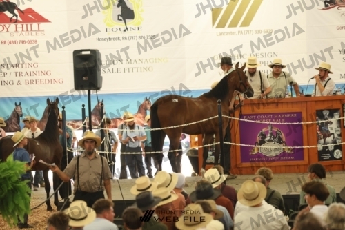 JHM_3276