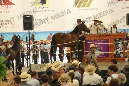 JHM_3277