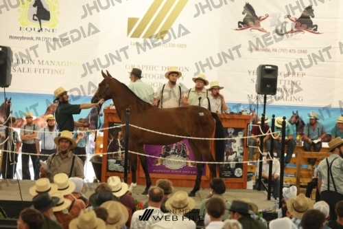 JHM_3282