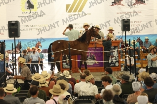 JHM_3283