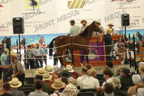 JHM_3284