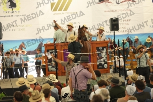 JHM_3288