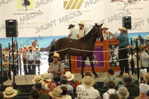 JHM_3290