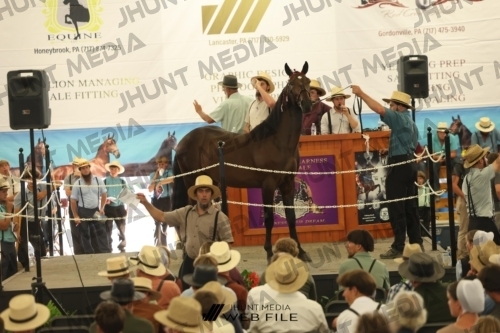 JHM_3291