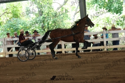 JHM_0330