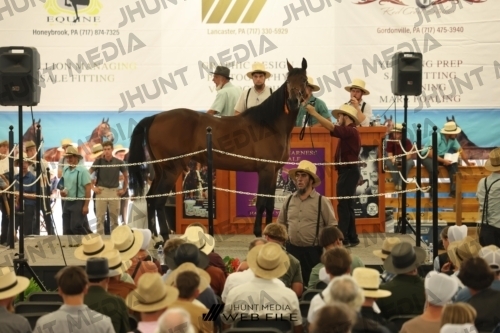 JHM_3304