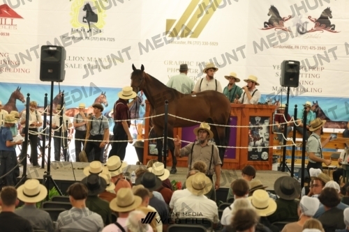 JHM_3309